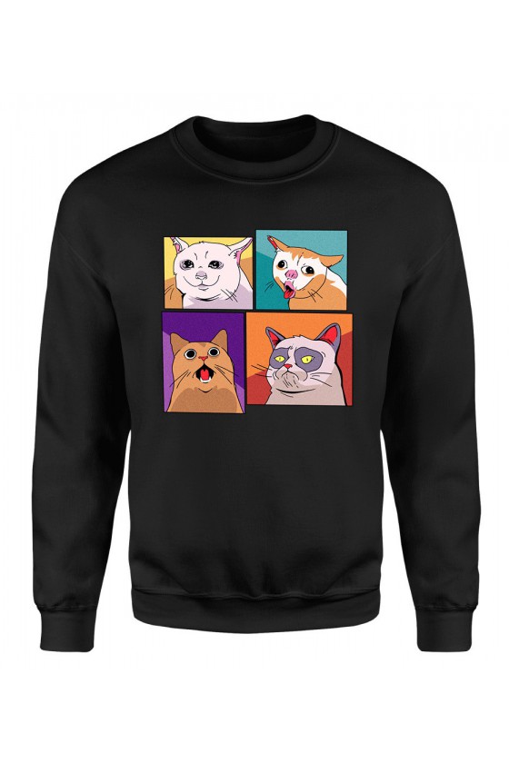 Bluza Klasyczna Męska Memowe koty