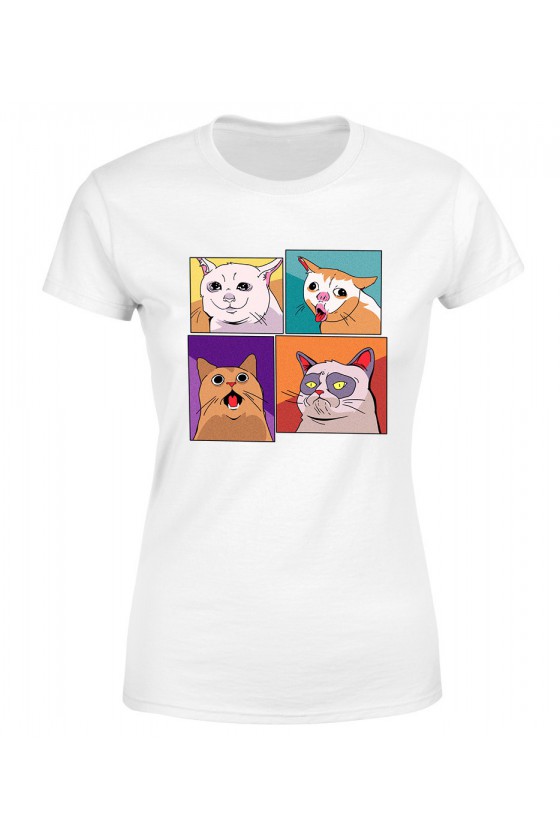 Koszulka Damska Memowe koty