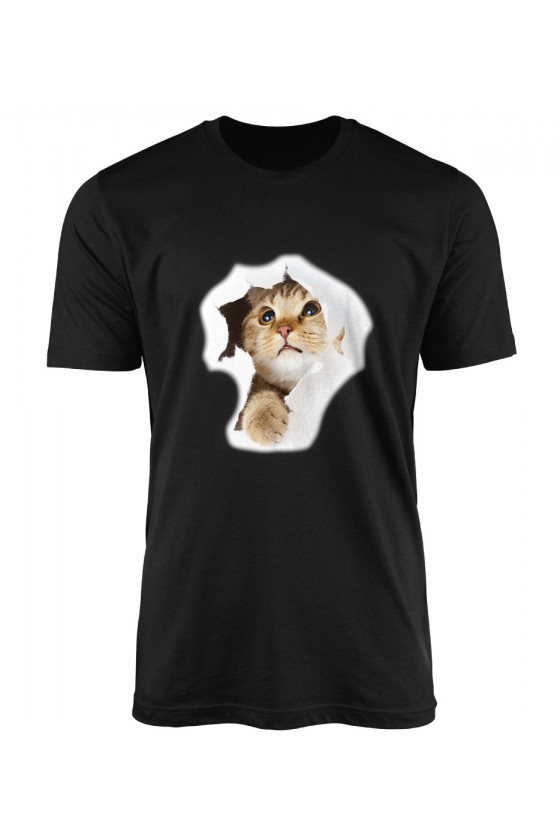 Koszulka Męska Kot W Pudełku 2