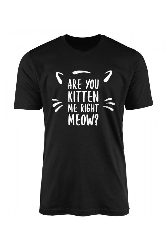 Koszulka Męska Are You Kitten Me Right Now?