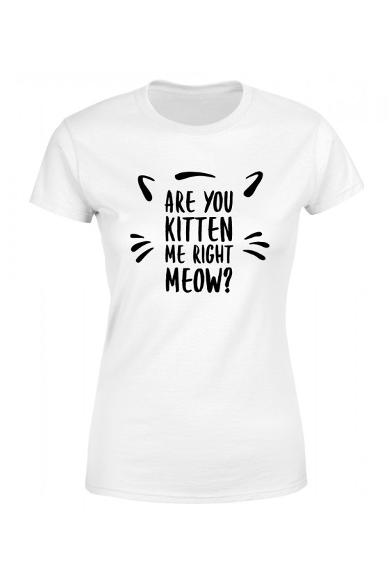 Koszulka Damska Are You Kitten Me Right Now?
