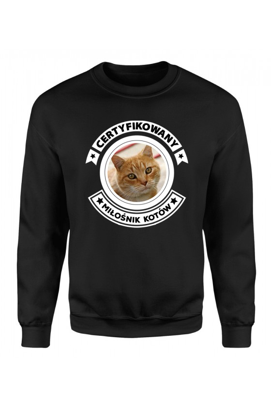 Bluza Klasyczna Męska Certyfikowany Miłośnik Kotów