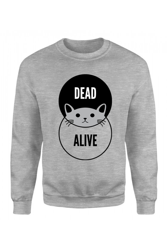 Bluza Klasyczna Męska Dead - Alive