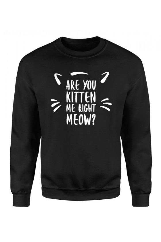 Bluza Klasyczna Męska Are You Kitten Me Right Now?