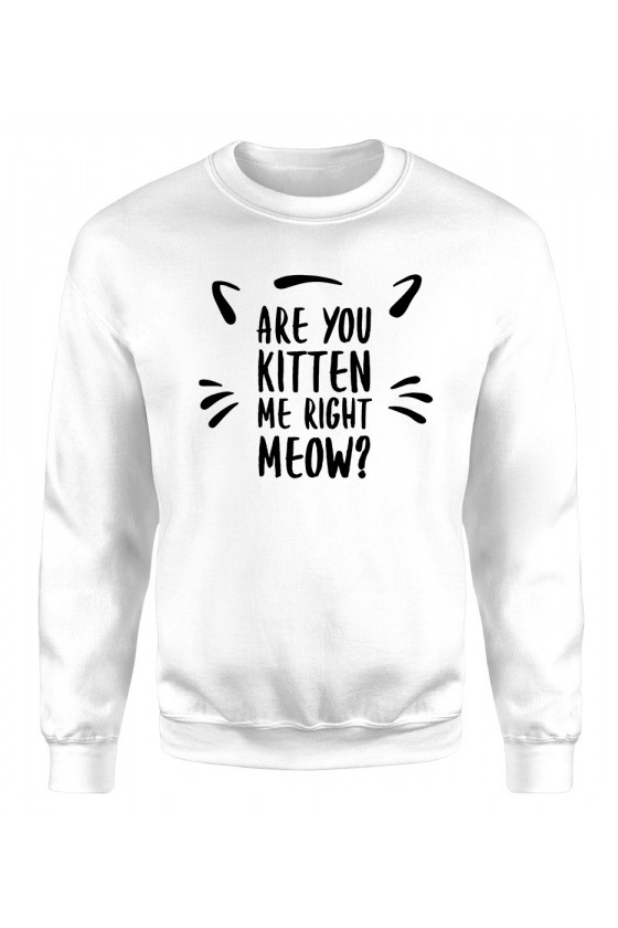 Bluza Klasyczna Damska Are You Kitten Me Right Now?