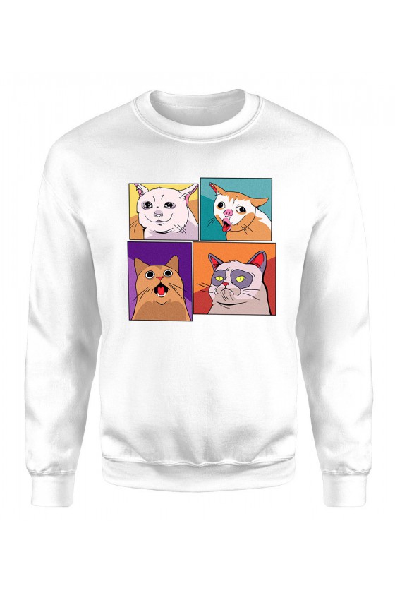 Bluza Klasyczna Damska Memowe koty